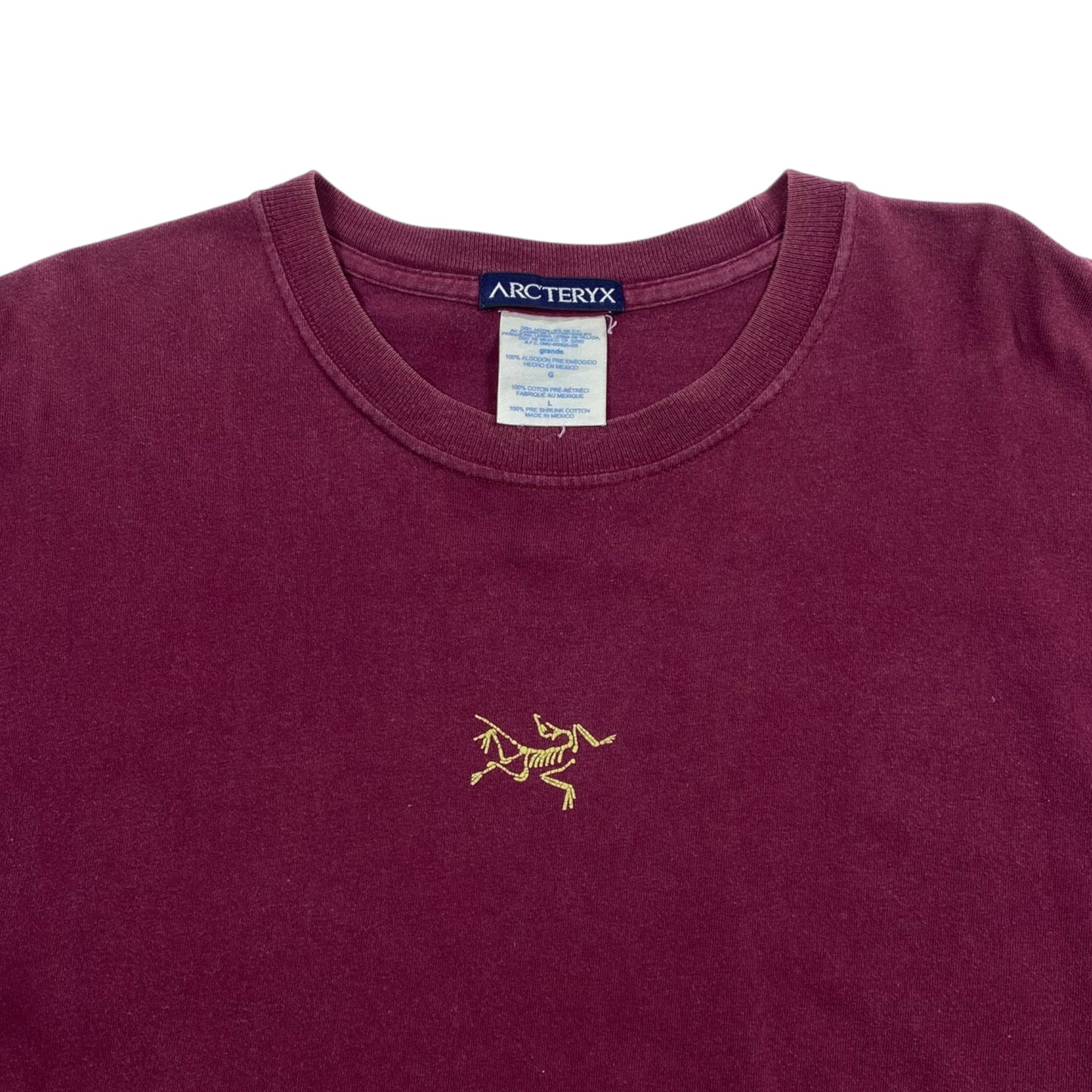Arcteryx 90s Lizard Logo