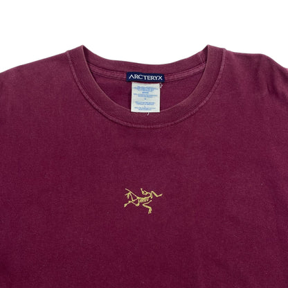 Arcteryx 90s Lizard Logo