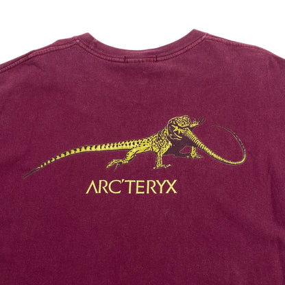 Arcteryx 90s Lizard Logo