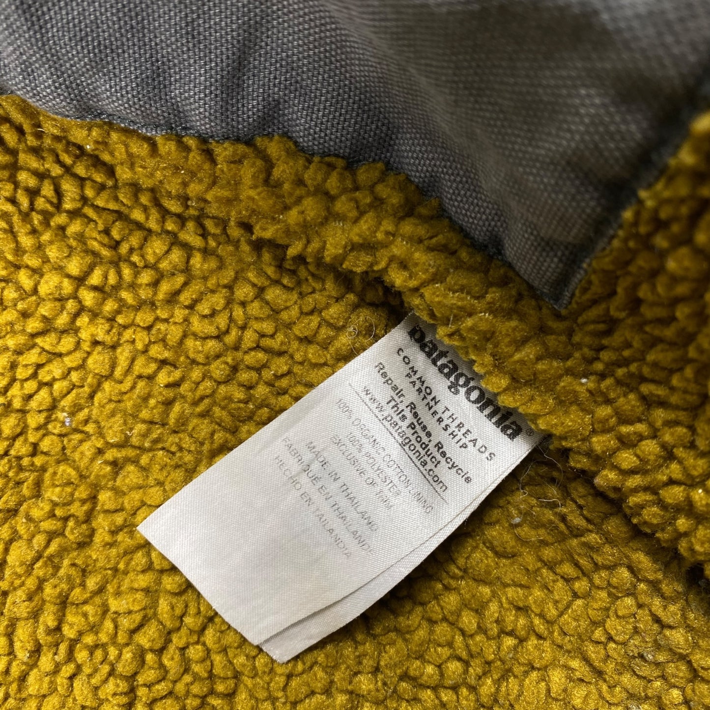 Patagonia Lined Canvas Hoody