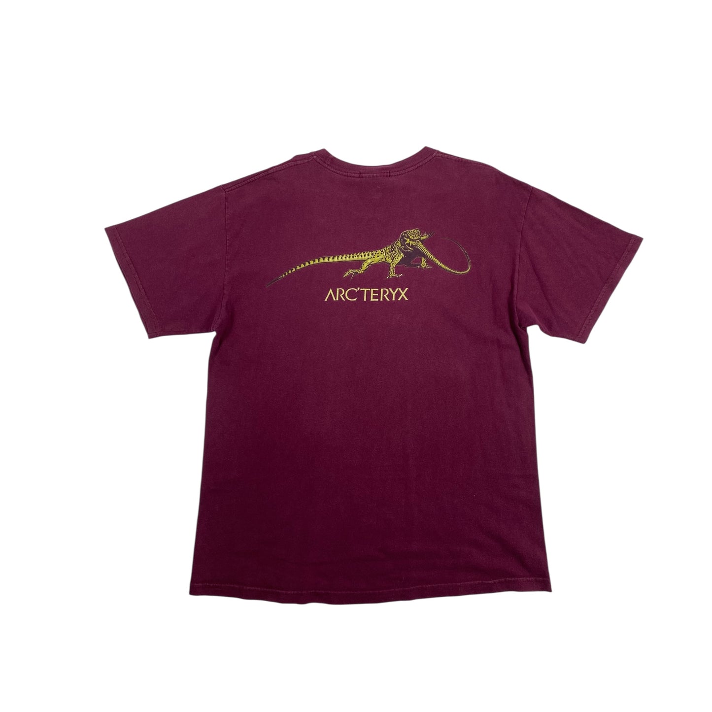 Arcteryx 90s Lizard Logo