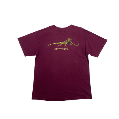 Arcteryx 90s Lizard Logo
