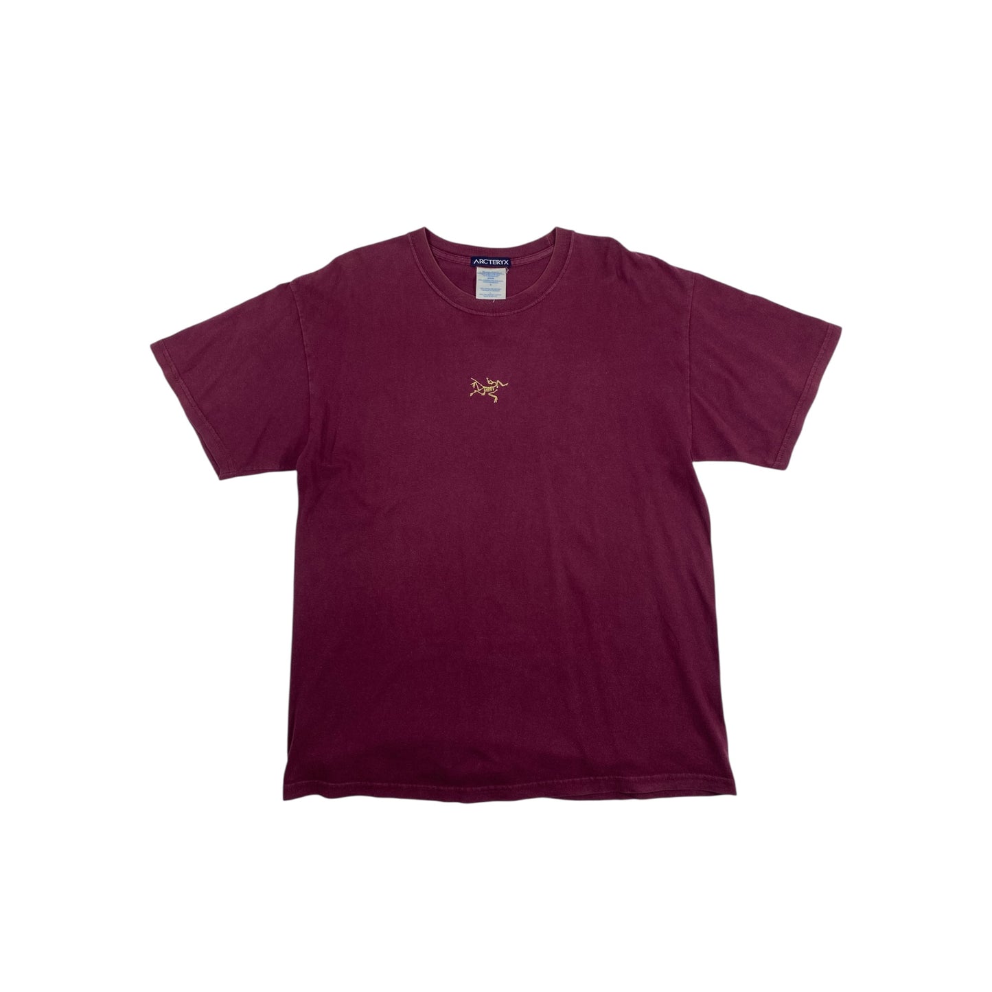 Arcteryx 90s Lizard Logo