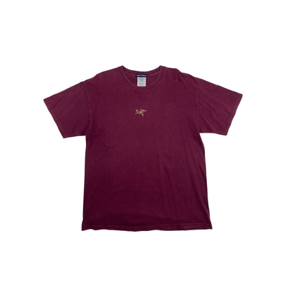 Arcteryx 90s Lizard Logo